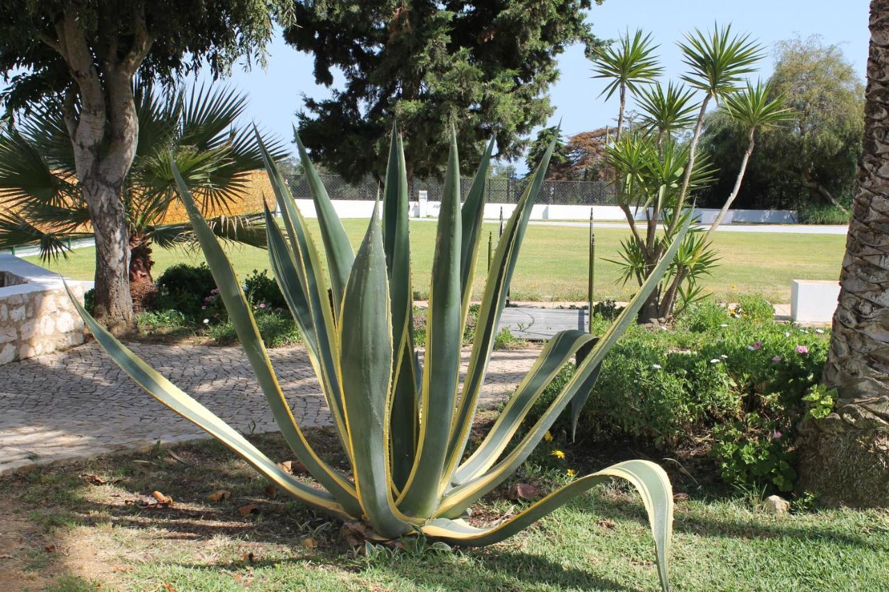 Casa Beachcomber Le Jardin Des Arts Lägenhet Lagos Exteriör bild